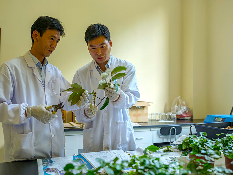 习近平的长江情怀「相关图片」